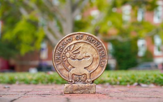 FBartwork06_aGreen_800x500-550×344