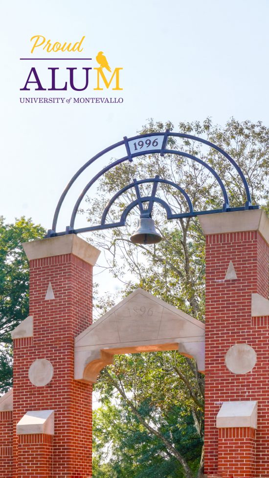 20phoneALUMbkgd-550×978