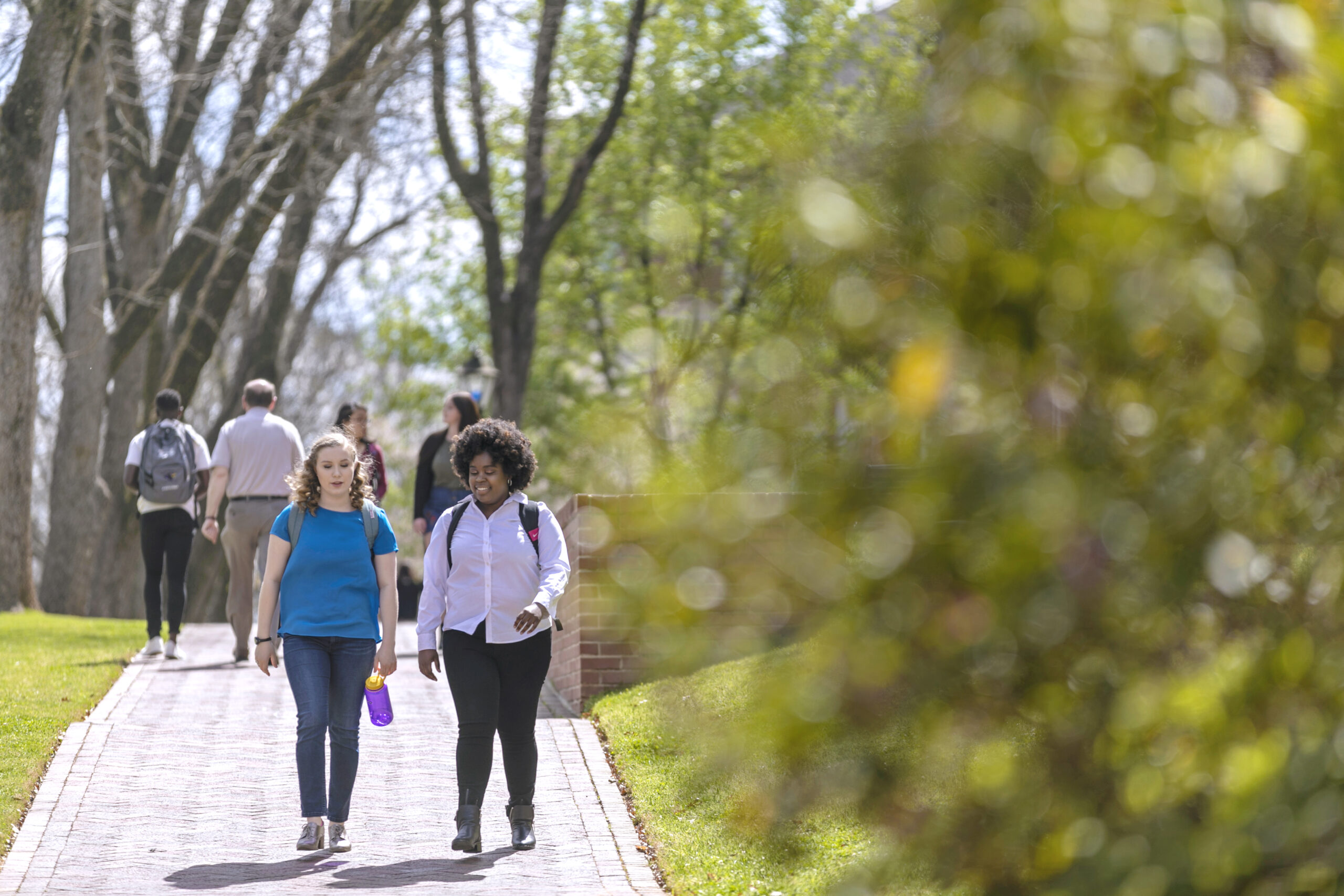 springCampus078_cNolen