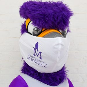 FreddieMask2-e1595527128562-300×300