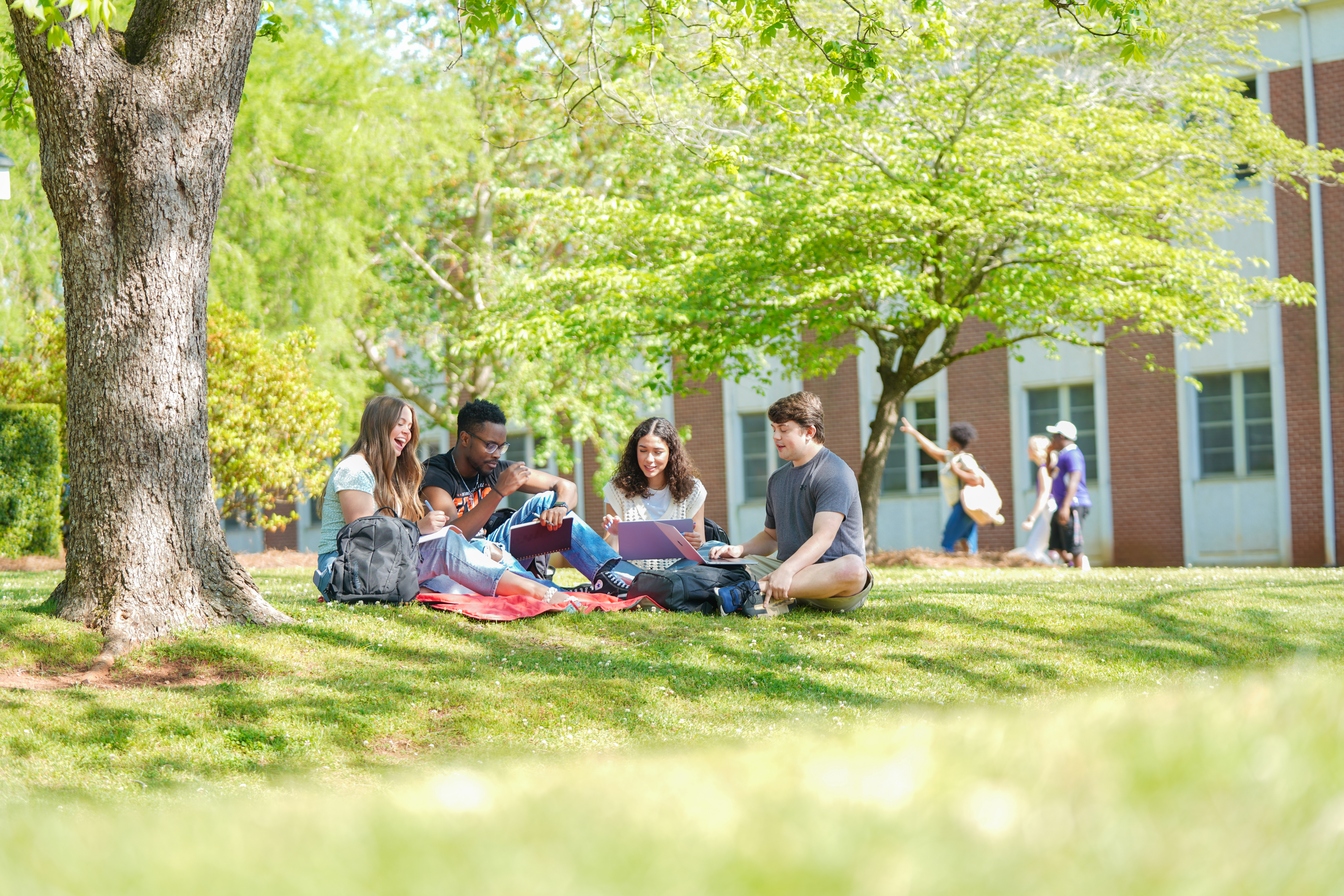 Spring-Shoot-376-aGreen