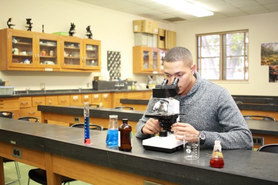 StudentEmployment22_aLuna-550×367