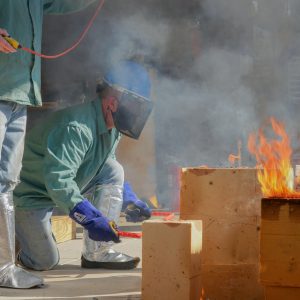 NelsonGrice_14_aGreen-300×300