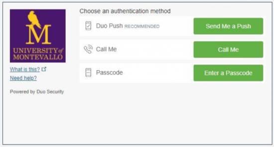 Screen-Shot-2021-07-15-at-9.16.31-AM-550×296
