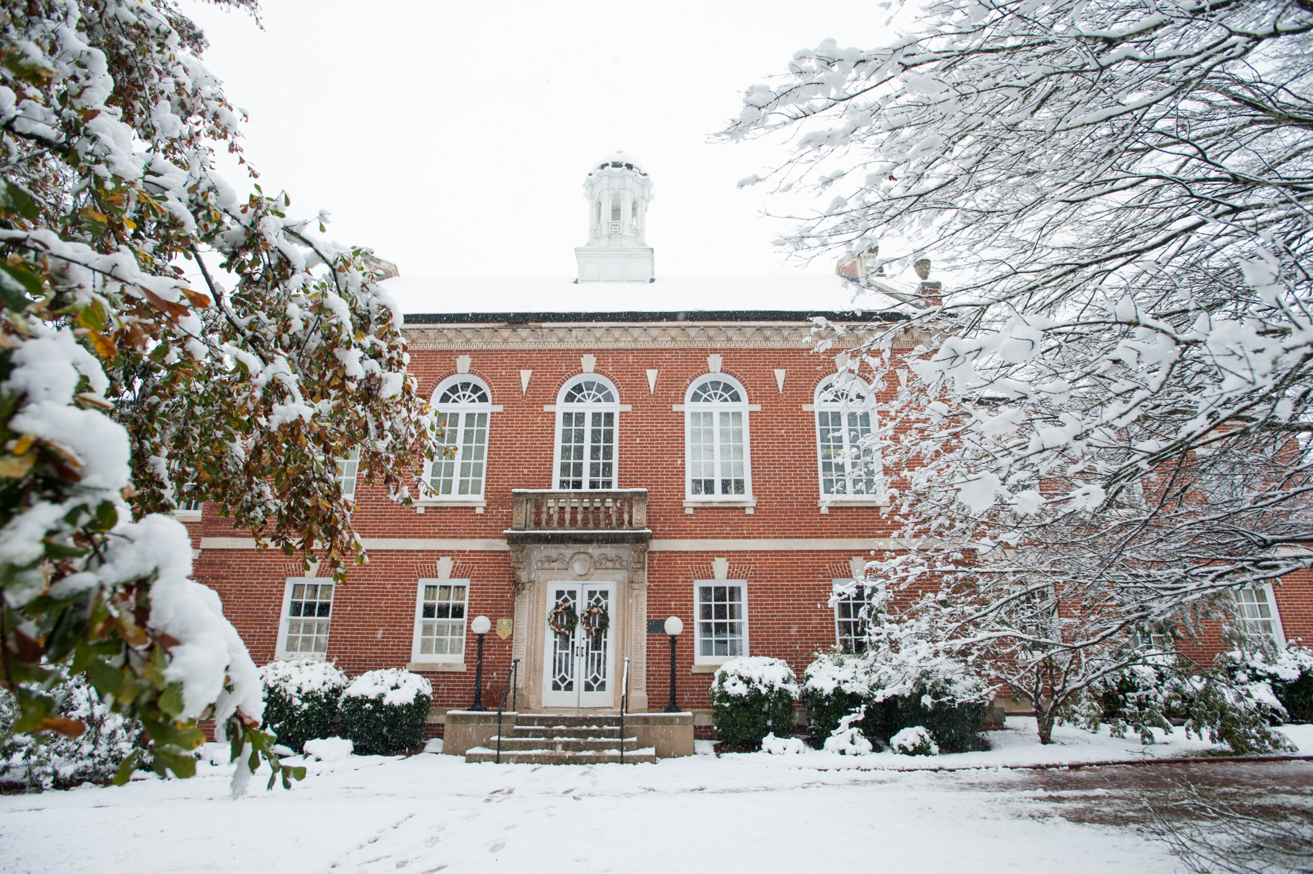 winterSnow102_aGreen