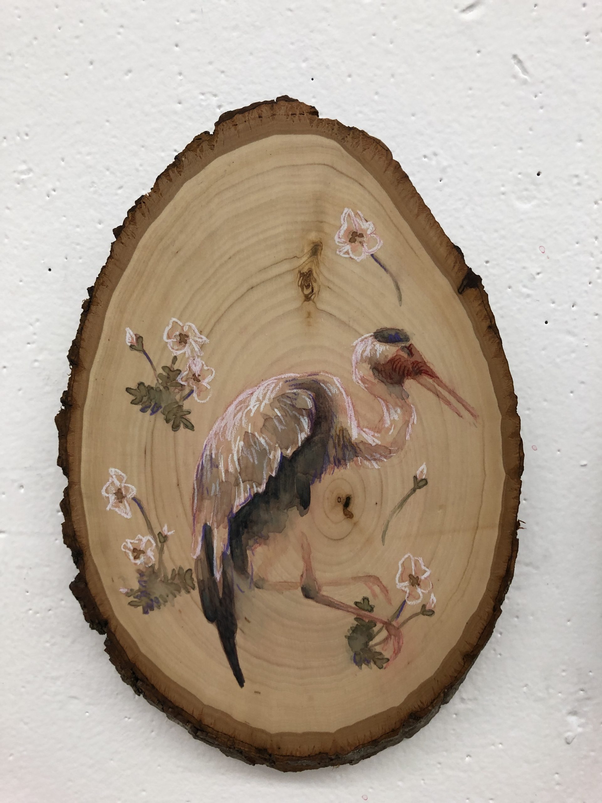 AD Foundation IMG 0997