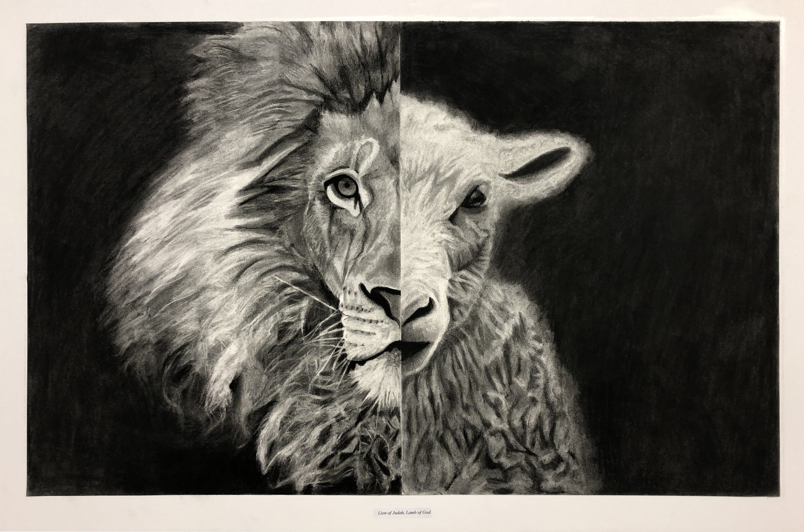 AD Foundation IMG 2123