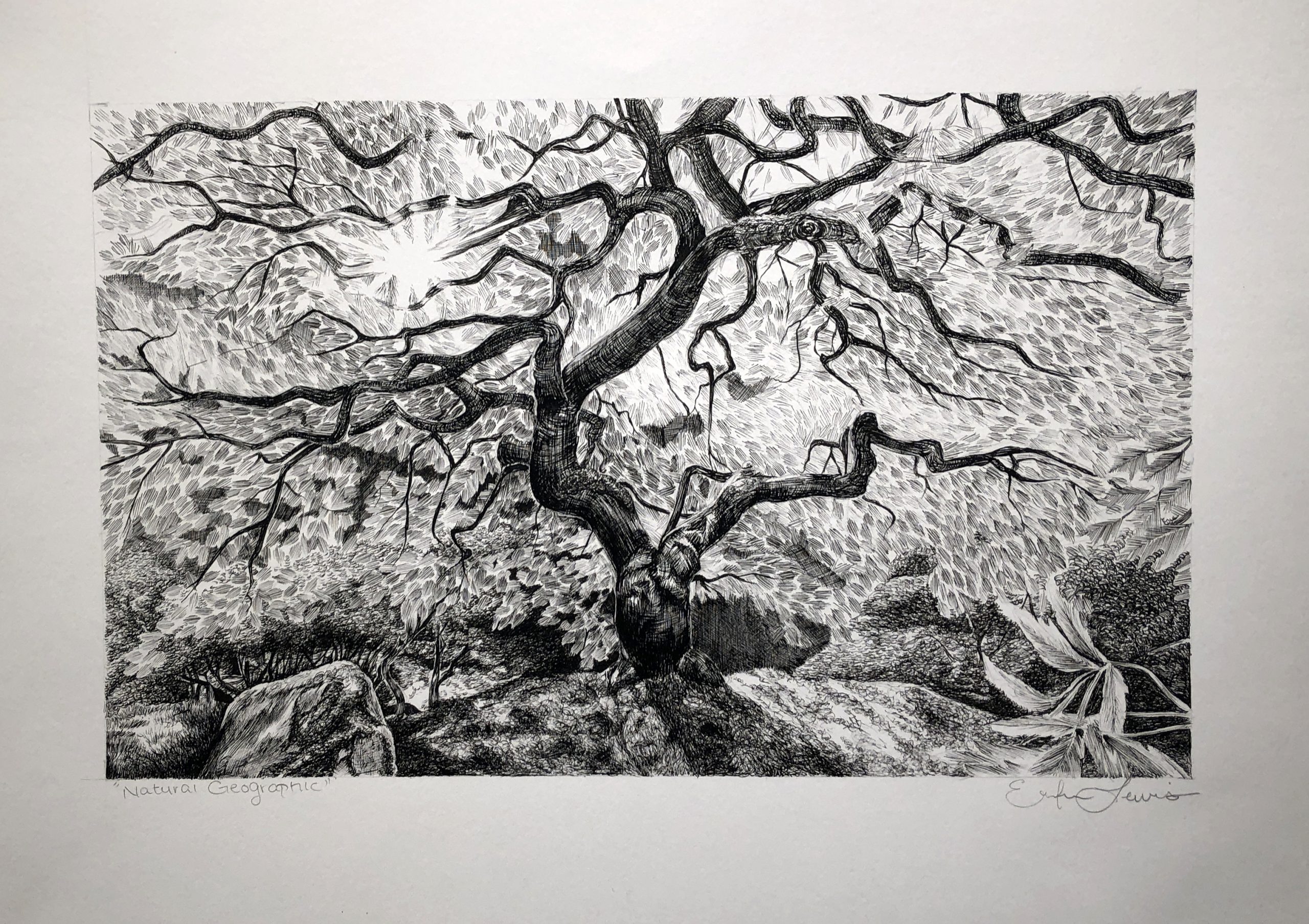 AD Foundation IMG 2372