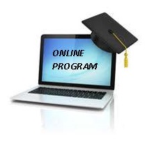 Online program