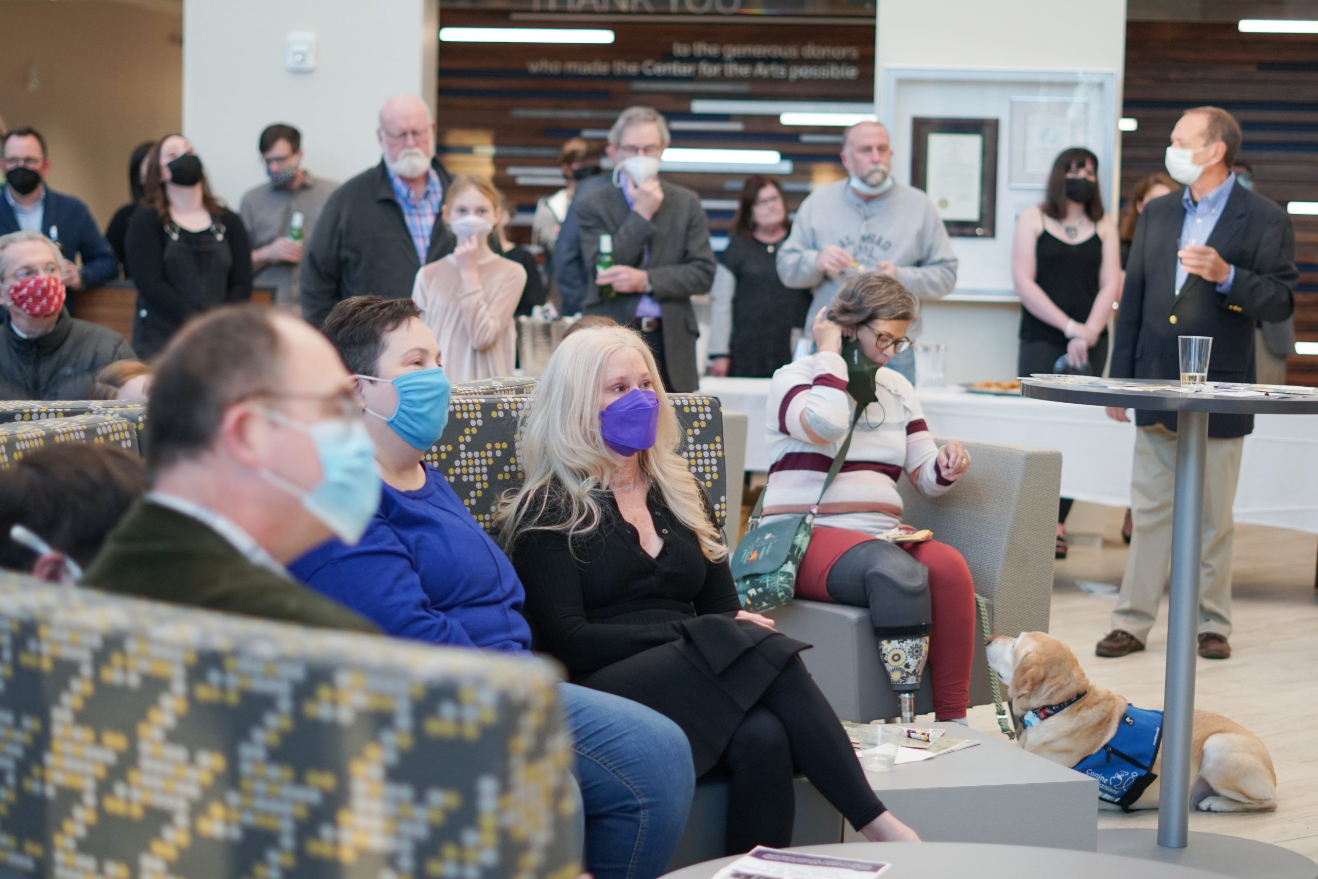 Poole Art Gallery 2021-2022